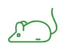 Rat in need of rodent control