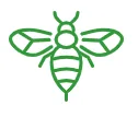 Bee and wasp removal