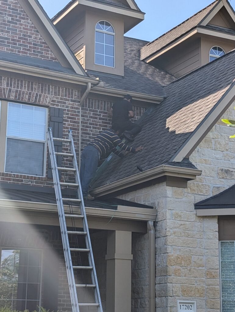 Galveston Squirrel Excusion in Galveston Island 