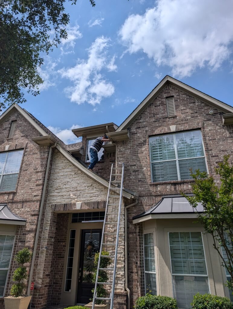 Rodent Control Service